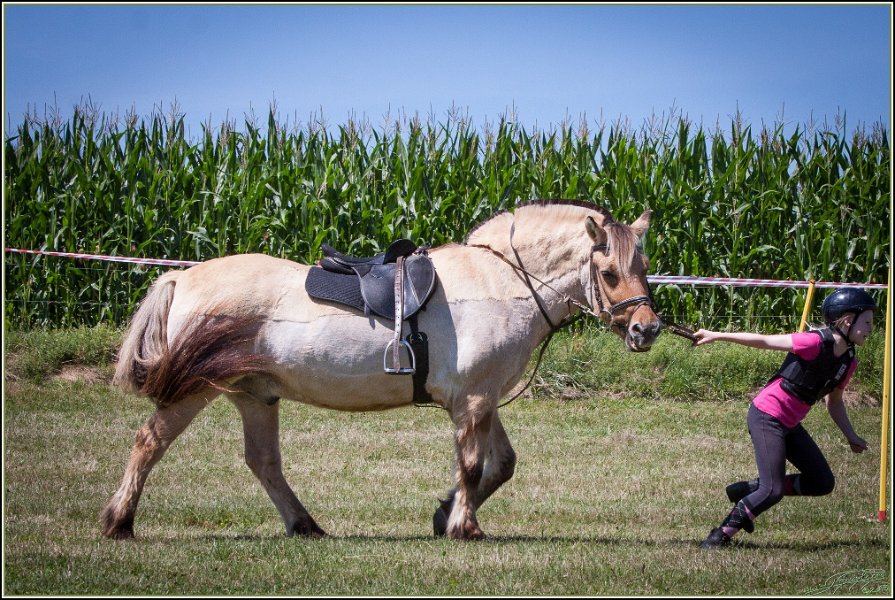 Mounted Games 150